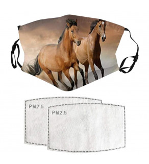 Kvalitní rouška s motivem koně + 2x PM2,5 filtr